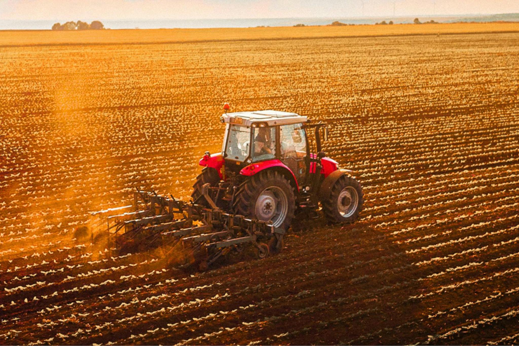 Tractor in a field