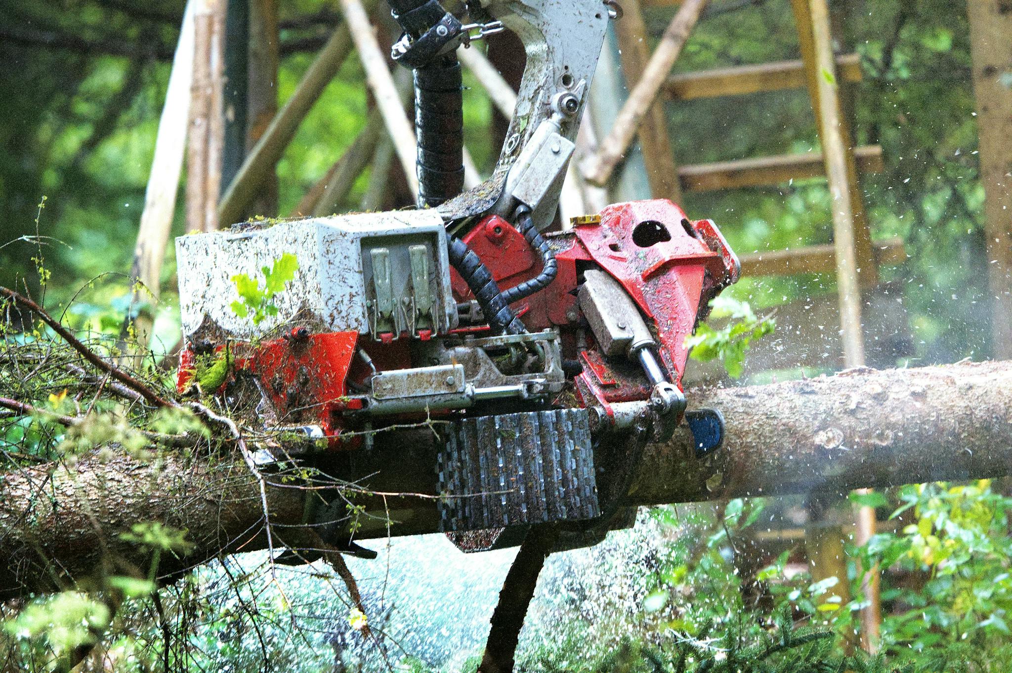 Lähikuva metsätyökoneesta, joka poistaa oksia kuusen rungosta